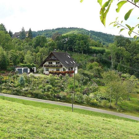 Ferienwohnung Hugelgarten Oppenau Kültér fotó