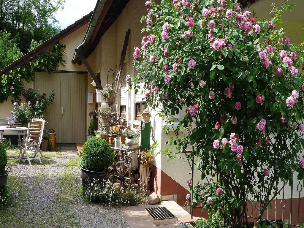 Ferienwohnung Hugelgarten Oppenau Kültér fotó