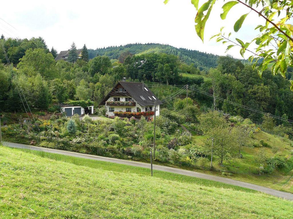 Ferienwohnung Hugelgarten Oppenau Kültér fotó